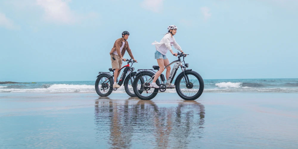 DUOTTS F26 26" Electric Mountain Bike 750W*2 Motors 48V 20Ah Battery