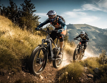 DUOTTS F26 26" Electric Mountain Bike 750W*2 Motors 48V 20Ah Battery