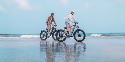 DUOTTS F26 26" Electric Mountain Bike 750W*2 Motors 48V 20Ah Battery