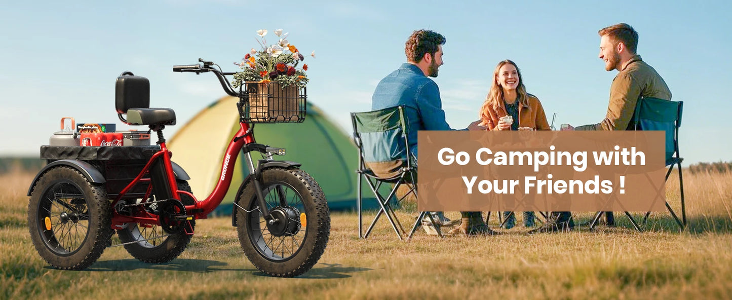 QRONGE Electric Bike for Adults 960W Peak 36V 13.5AH Battery Folding Electric Tricycle 50 Miles