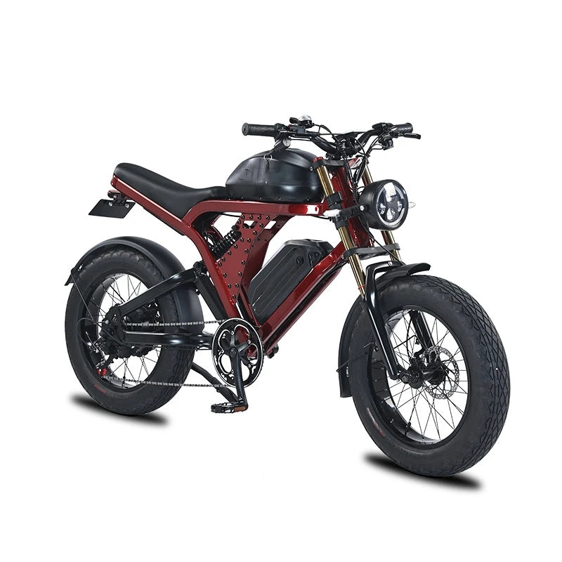 High Performance Electric Bicycle 1500w 52V Hub Motor Dual Lithium Battery E-Bike Electric Mountain Bike Cycle