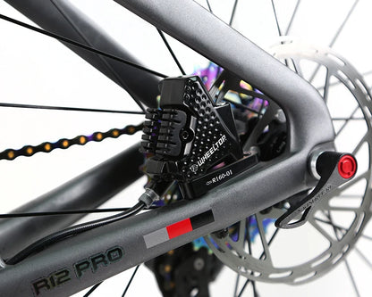 2025 New LIAO Style R12 Pro Bicycle Carbon Frame Carbon Wheel Road Bike With WheelTop EDS 2*12S Wireless Electronic Shifting