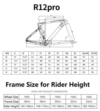 2025 New LIAO Style R12 Pro Bicycle Carbon Frame Carbon Wheel Road Bike With WheelTop EDS 2*12S Wireless Electronic Shifting