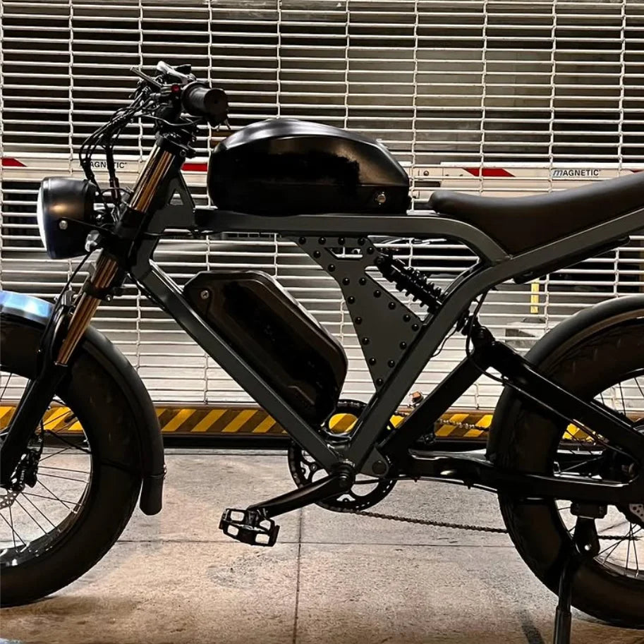 High Performance Electric Bicycle 1500w 52V Hub Motor Dual Lithium Battery E-Bike Electric Mountain Bike Cycle