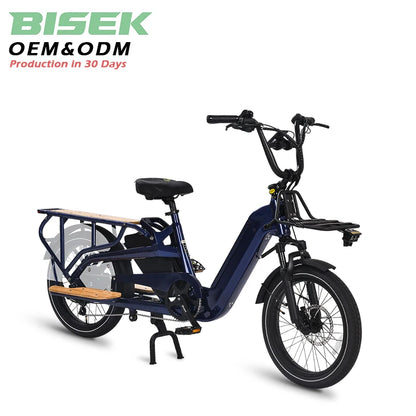 STLF Factory OEM Dual Battery Cargo Ebike 20inch Fat Tire 2 Wheels Long Tail Adult City Electric Cargo Bike 500w 750w With Baske