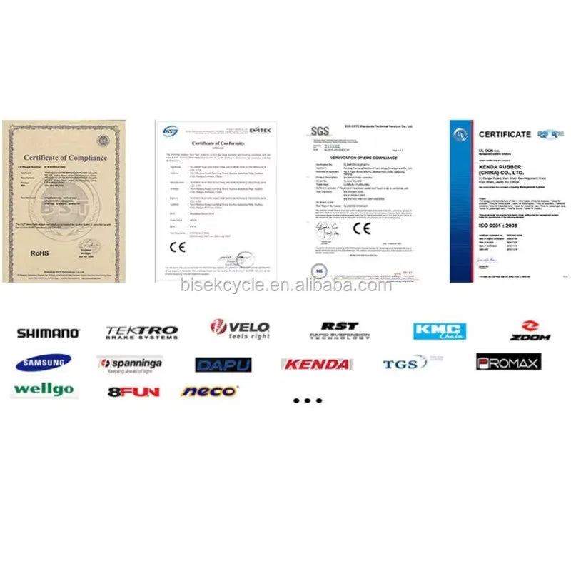 STLF Family Cargo Bike Customized Electric Bike Electric Bicycle High Quality Cheaper Adult Ebike