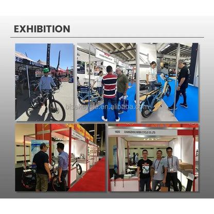 STLF Family Cargo Bike Customized Electric Bike Electric Bicycle High Quality Cheaper Adult Ebike