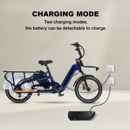 STLF Factory OEM Dual Battery Cargo Ebike 20inch Fat Tire 2 Wheels Long Tail Adult City Electric Cargo Bike 500w 750w With Baske