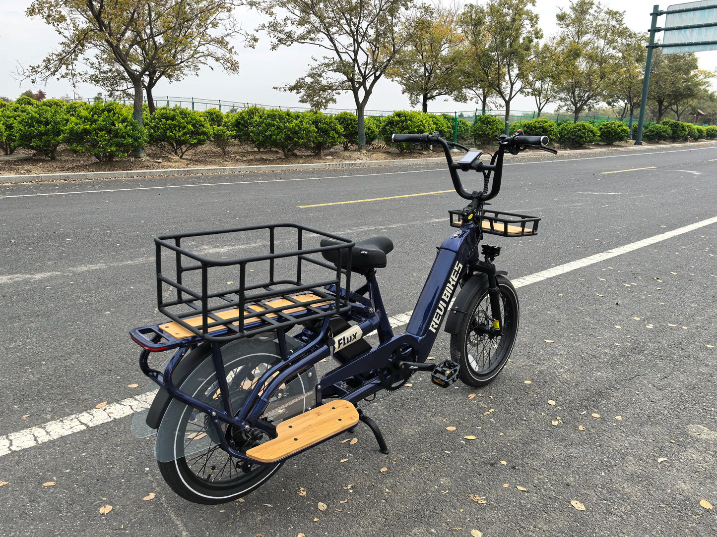 STLF Factory OEM Dual Battery Cargo Ebike 20inch Fat Tire 2 Wheels Long Tail Adult City Electric Cargo Bike 500w 750w With Baske