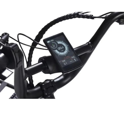 STLF Family Cargo Bike Customized Electric Bike Electric Bicycle High Quality Cheaper Adult Ebike