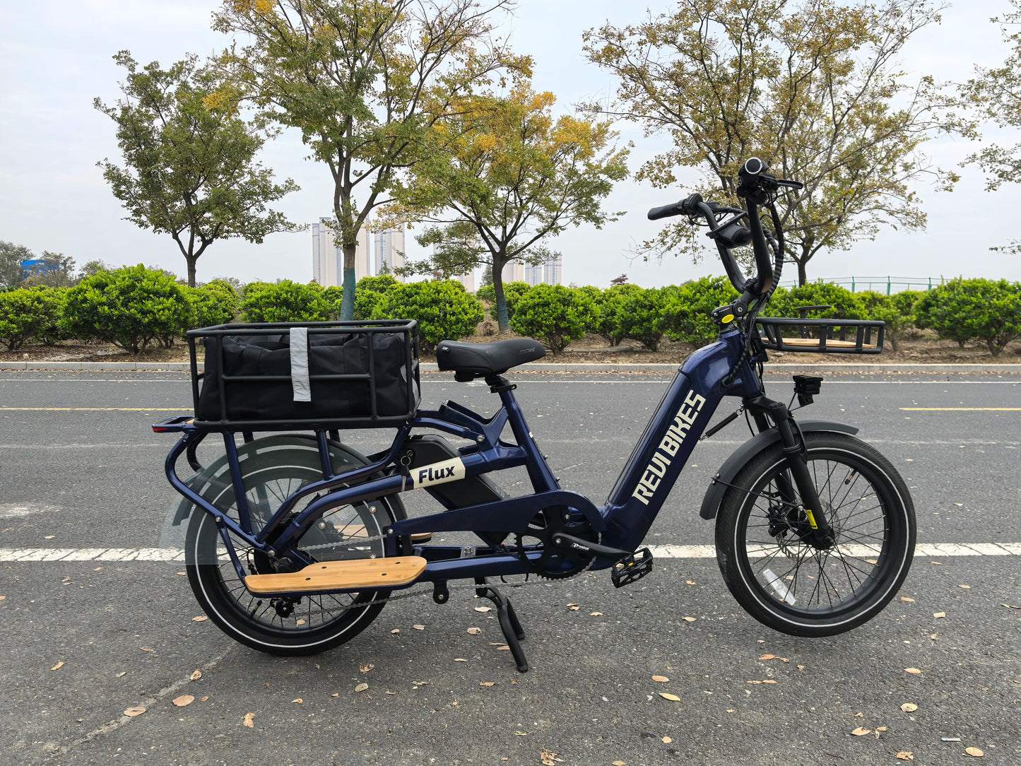 STLF Factory OEM Dual Battery Cargo Ebike 20inch Fat Tire 2 Wheels Long Tail Adult City Electric Cargo Bike 500w 750w With Baske