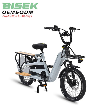 STLF Factory OEM Dual Battery Cargo Ebike 20inch Fat Tire 2 Wheels Long Tail Adult City Electric Cargo Bike 500w 750w With Baske