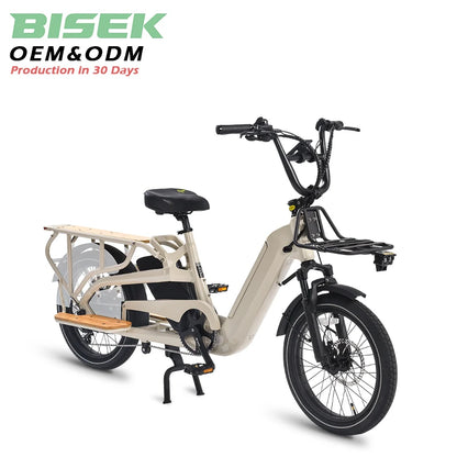 STLF Factory OEM Dual Battery Cargo Ebike 20inch Fat Tire 2 Wheels Long Tail Adult City Electric Cargo Bike 500w 750w With Baske