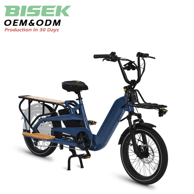 STLF Factory OEM Dual Battery Cargo Ebike 20inch Fat Tire 2 Wheels Long Tail Adult City Electric Cargo Bike 500w 750w With Baske