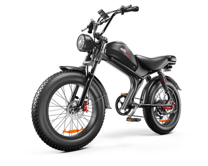 C93- Dual-drive High-speed Electric Bike